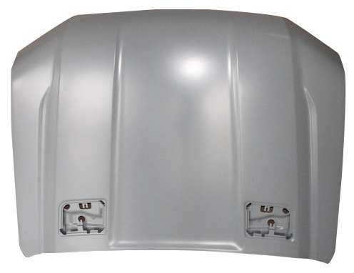 HOOD PANEL ASSY
